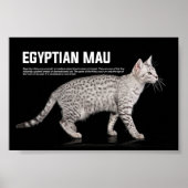 Mau Cat Breed Poster (Vorne)