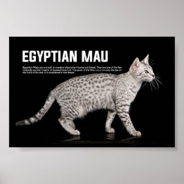 Mau Cat Breed Poster