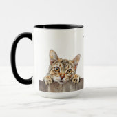 Mau Cat Tasse (Links)