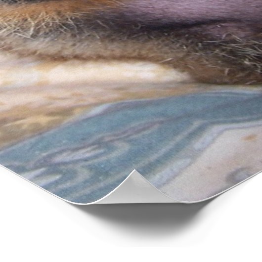 Maude Poster 1 (Ecke)