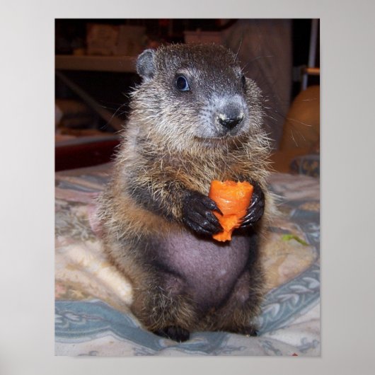 Maude Poster 1 (Vorne)