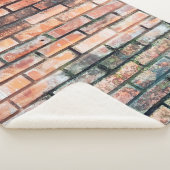 Mauer aus rotem Backstein mit stainsabstrakter, al Sherpadecke (3/4)