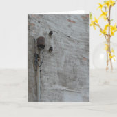 Mauer Karte (Gelbe Blume)