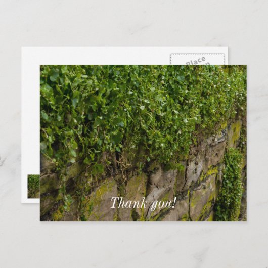 Mauer Postkarte (Vorne/Hinten)