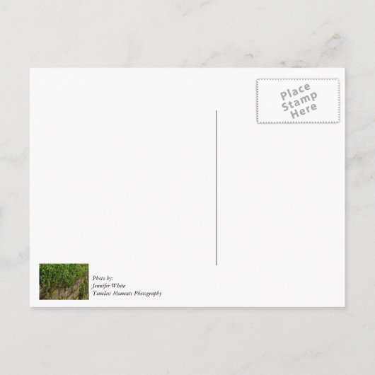 Mauer Postkarte (Rückseite)