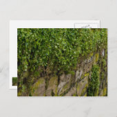 Mauer Postkarte (Vorne/Hinten)