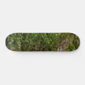 Mauer Skateboard (Horizontal)