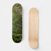 Mauer Skateboard (Vorderseite)