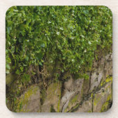 Mauer Untersetzer (Vorderseite)