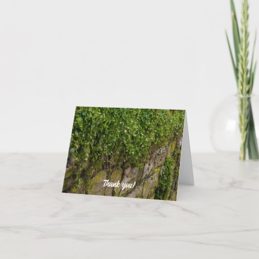 Mauer von Ivy Dankeschön Karte (Vorderseite)