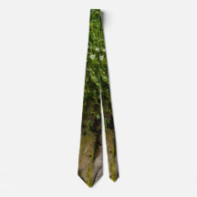 Mauer von Ivy Neck Tie