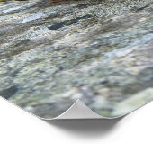 Mauerblümchen: Blütenblüte Lila Blüten zwischen Fe Poster (Ecke)