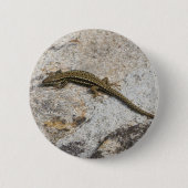 Mauereidechse Button (Vorderseite)
