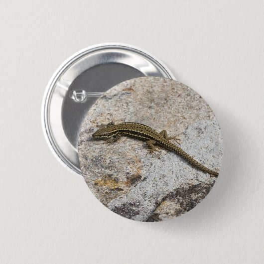 Mauereidechse Button (Vorne & Hinten)