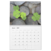 Mauerkalender 2018 mit Blumenimpressionen Kalender (Mär 2027)
