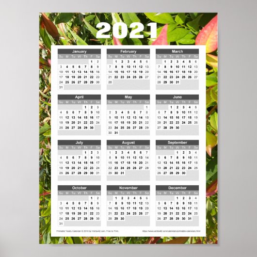 Mauerkalender 2021 Grüne Blätter Poster (Vorne)