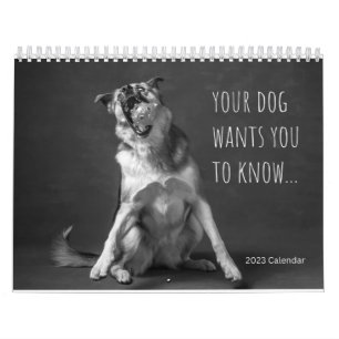 Mauerkalender 2023 - Hunde Humor Kalender