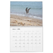 Mauerkalender für wild lebende Vogelarten Kalender (Mär 2026)