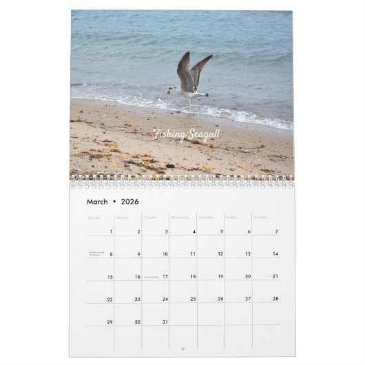 Mauerkalender für wild lebende Vogelarten Kalender (Mär 2026)