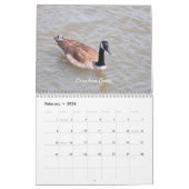 Mauerkalender für wild lebende Vogelarten Kalender (Feb 2026)