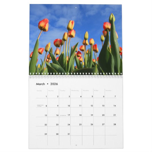 Mauerkalender mit Blume Kalender (Mär 2026)