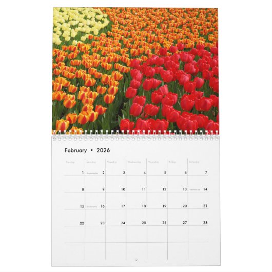Mauerkalender mit Blume Kalender (Feb 2026)