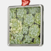 Mauerpfeffer-Pflanzenmuster Silbernes Ornament (Links)