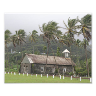 Maui, antike Kirche, blühende Palmen Fotodruck
