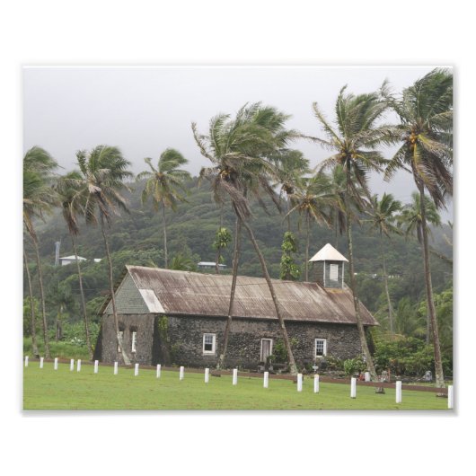 Maui, antike Kirche, blühende Palmen Fotodruck (Vorne)