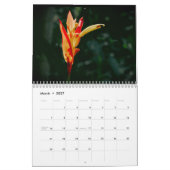 Maui Beauties Calendar Kalender (Mär 2027)