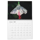 Maui Beauties Calendar Kalender (Jan 2027)