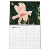 Maui Beauties Calendar Kalender (Feb 2027)