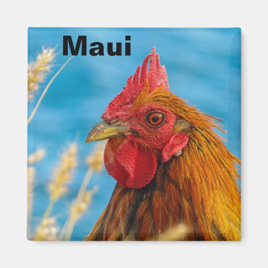 Maui Chicken Magnet (Vorne)