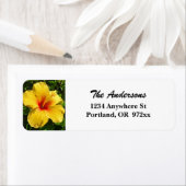 Maui-Gelber Hibiskus (Insitu)