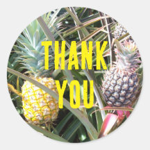 Maui Hawaii Ananas Danke