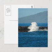 Maui Hawaii Beach 2014 Postkarte (Vorne/Hinten)