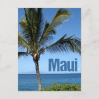 Maui Hawaii Beautiful Ocean Palm Tree