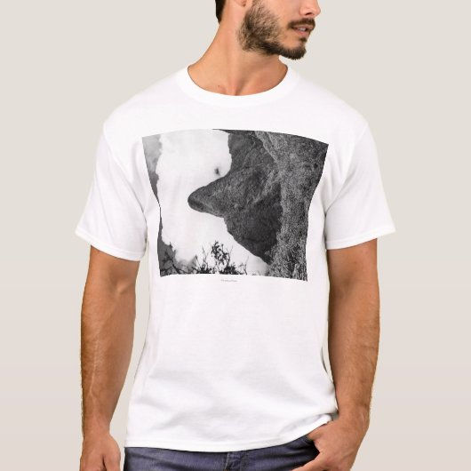 Maui, Hawaii - die Nadel von Iao Tal T-Shirt (Vorderseite)