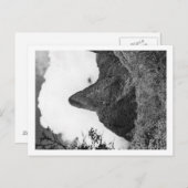 Maui, Hawaii - Die Needle des Iao-Tals Postkarte (Vorne/Hinten)