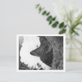 Maui, Hawaii - Die Needle des Iao-Tals Postkarte (Stehend Vorderseite)