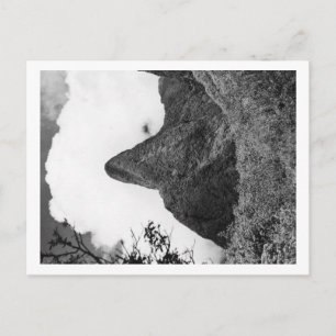 Maui, Hawaii - Die Needle des Iao-Tals Postkarte