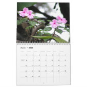 Maui Hawaii Kalender (Mär 2026)