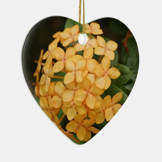 Maui Hawaii Landschaftliches Weihnachtsgeschenk Keramikornament (Rechts)