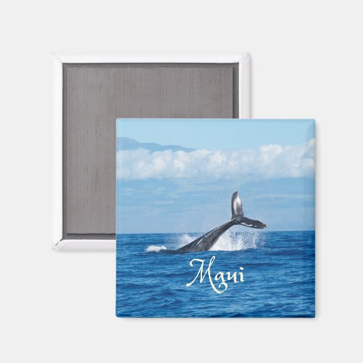 Maui Hawaii Ocean Whale Schwanz Magnet (Vorderseite/Rückseite)