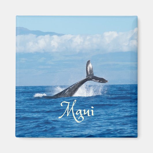 Maui Hawaii Ocean Whale Schwanz Magnet (Vorne)