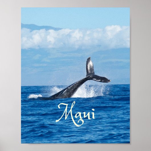 Maui Hawaii Ocean Whale Schwanz Poster (Vorne)
