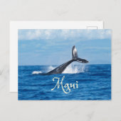 Maui Hawaii Ocean Whale Schwanz Postkarte (Vorne/Hinten)