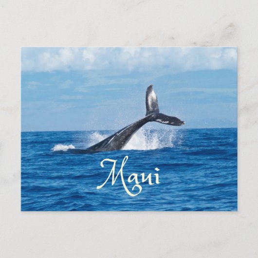 Maui Hawaii Ocean Whale Schwanz Postkarte (Vorderseite)