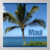 Maui Hawaii Poster (Vorne)