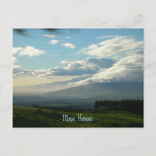 Maui, Hawaii Postkarte (Vorderseite)